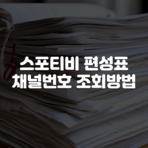 스포티비 편성표 채널번호 조회방법
