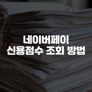 네이버페이 신용점수 조회 방법