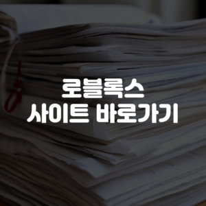 로블록스 사이트 바로가기