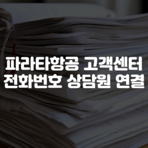 파라타항공 고객센터 전화번호 상담원 연결