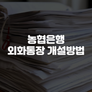 농협은행 외화통장 개설방법