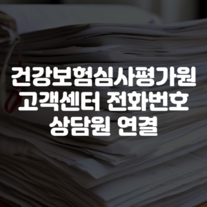 건강보험심사평가원 고객센터 전화번호 상담원 연결