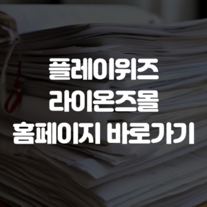플레이위즈 라이온즈몰 홈페이지 바로가기