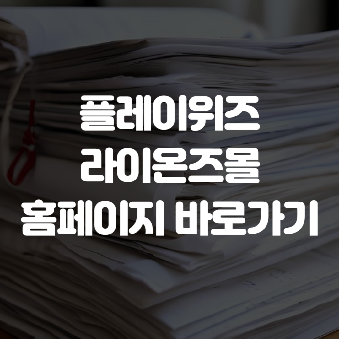 플레이위즈 라이온즈몰 홈페이지 바로가기
