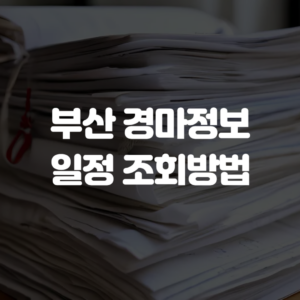 부산 경마정보 일정 조회방법 5 부산 경마정보 일정 조회방법