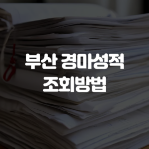 부산 경마성적 조회방법